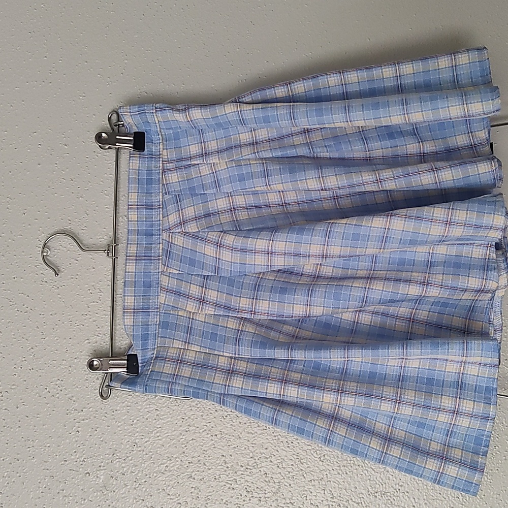 Plaid blue skirt